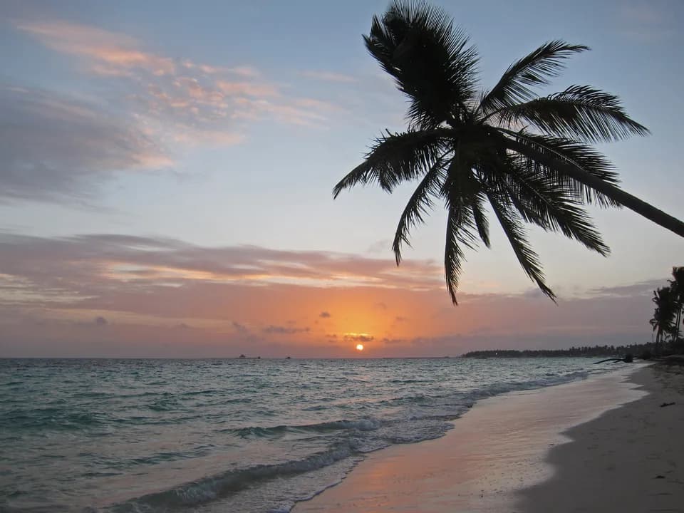 A palm tree silhouetted against sunrise on the beach at Punta Cana, Dominican Republic