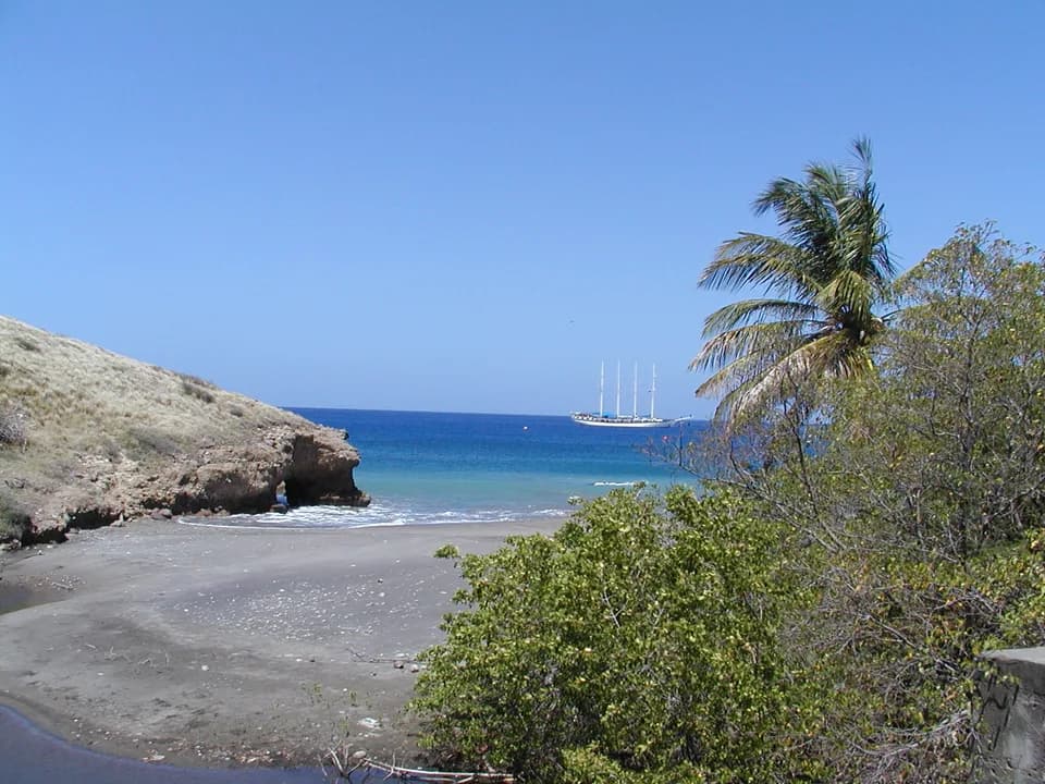 A cove at Little Bay, Montserrat, framed by a palm tree