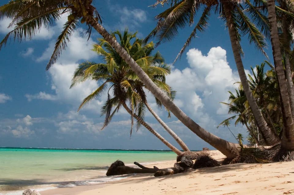 Leaning palms on Otto Beach, Little Corn Island, Nicaragua